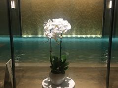 -成都尼依格罗酒店