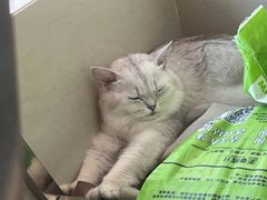 -保定市动物园
