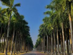 -南宁花花大世界景区