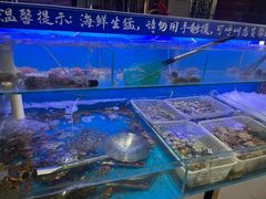 -悦巷海鲜自助铁板烧(秦皇东大街店)