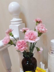 -紫洁俪方（北京）医疗美容