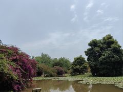 -中国科学院西双版纳热带植物园