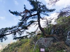 -尧山风景区