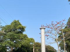 -小南山公园