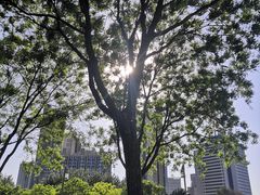 -唐山抗震纪念碑广场