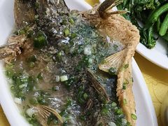 葱油吊水鲩-肥姐美食(同福中路店)