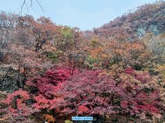 -关门山森林公园