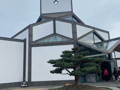 -松鹤楼(山塘街店)