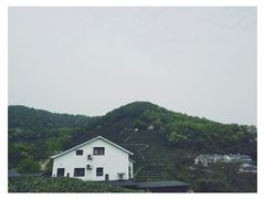 -龙井村