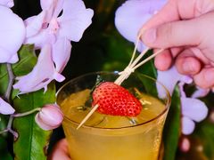 -mordew加州日记西餐&小酒馆(新天地店)
