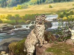 -陕西自然博物馆