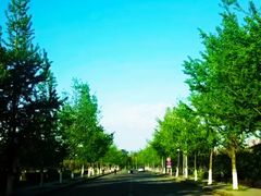 -成都中医药大学(温江校区)