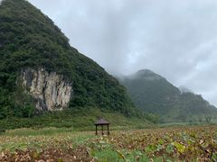 -靖西鹅泉风景区
