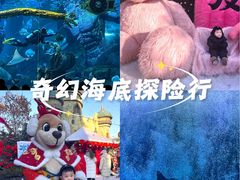 -哈尔滨波塞冬海底世界