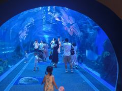 -成都浩海立方海洋公园