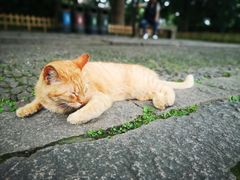 -西园寺