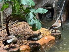 -长鹿旅游休博园