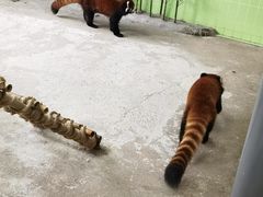 -海合安武汉极地海洋公园