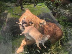 -国家自然博物馆