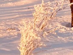 -雪谷