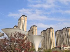 -唐岛湾公园