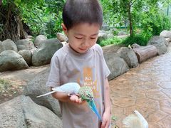 -北戴河集发农业梦想王国