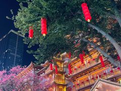-越秀西湖花市(广州城市广场花卉店)