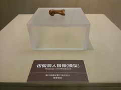 -嘉定博物馆