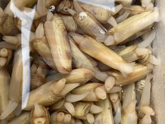 -众彩物流水产市场