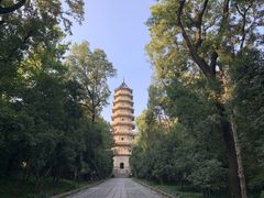 -灵谷景区