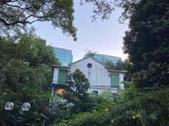 -九龙公园