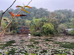 -野象谷景区