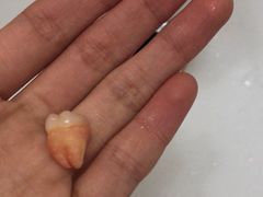 -上海市第七人民医院