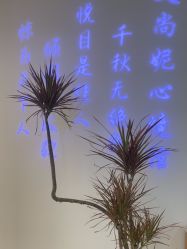-艾尚妮·美容美体SPA