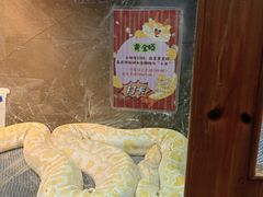 -上海大自然野生昆虫馆(东方明珠·爬宠昆虫探索中心)