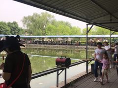 -北京上庄水库尚野露天户外自助烧烤