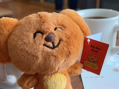 -纽巷咖啡 SOFTFOCUS COFFEE(锦和巴黎时韵店)