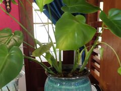 -观盐·盐帮菜(官园桥店)