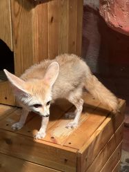 -Zoolung Zoolung动物主题公园(海信广场店)