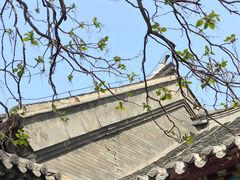 -张学良旧居陈列馆