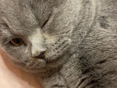 -艾吉宠物医院·疑难杂症转诊中心·猫友好(碧江路院)