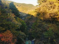 -秦岭风景区