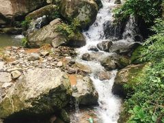 -藏龙百瀑风景区