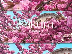 -旅顺留声机博物馆