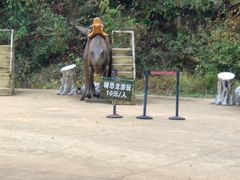 -木兰云雾山