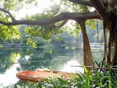 -晓港公园