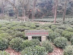 -西湖风景区十里琅珰-五云山