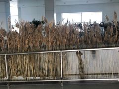 -银川河东国际机场