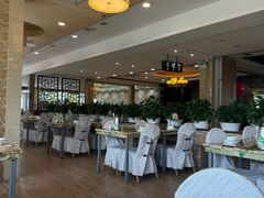 -椿记烧鹅(北门店)