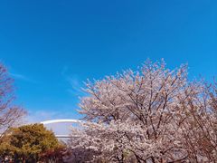 -龙美术馆(西岸馆)